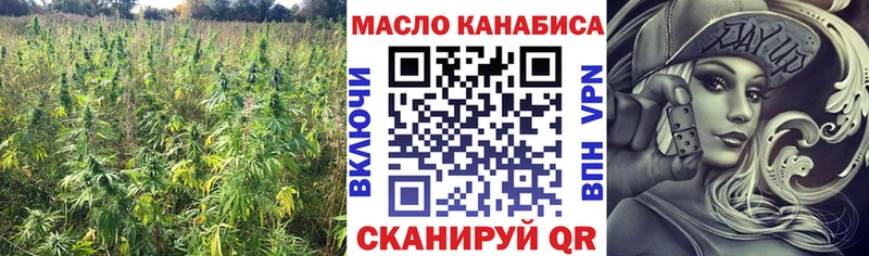 где можно купить   Кушва  OMG   ТГК Wax 