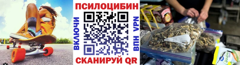 гидра как зайти  darknet телеграм  Псилоцибиновые грибы Psilocybine cubensis  Кушва 
